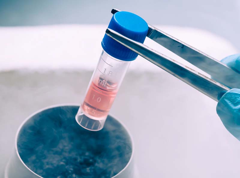 , Regenerative Medicine Overview